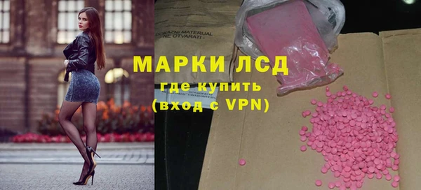 PSILOCYBIN Алзамай