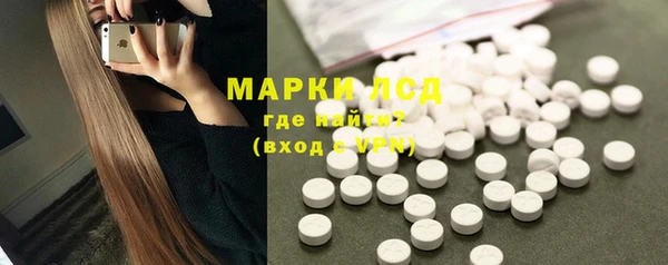 PSILOCYBIN Алзамай