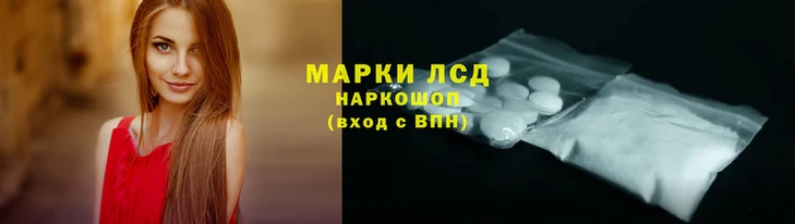 PSILOCYBIN Алзамай