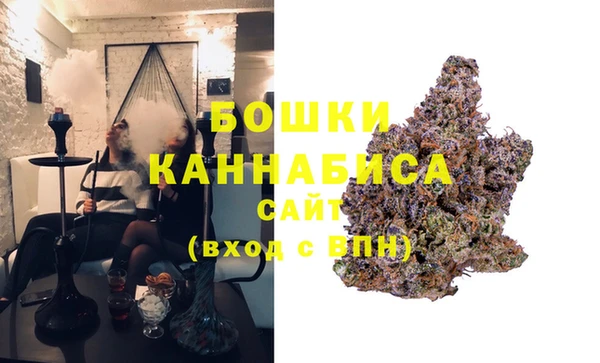 PSILOCYBIN Алзамай