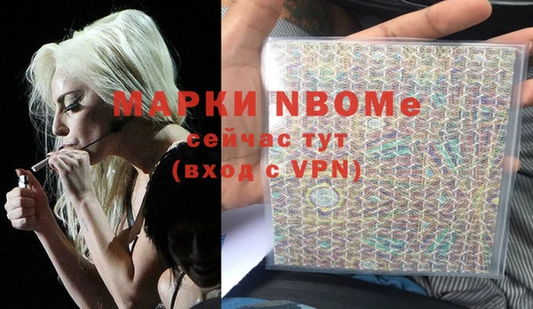 PSILOCYBIN Алзамай