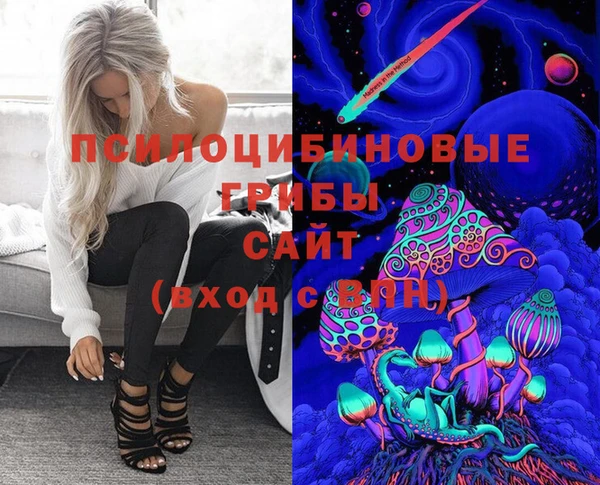 PSILOCYBIN Алзамай
